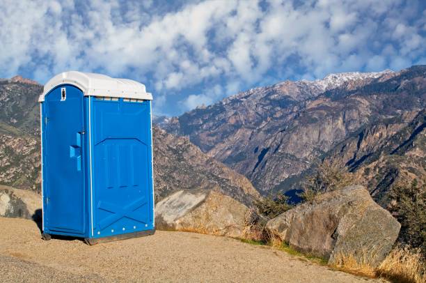 Best Portable Toilets with Baby Changing Stations  in Meridian, MS